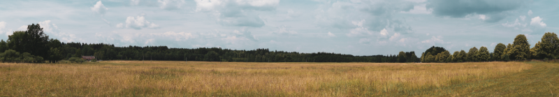 Kostenloser MoBa-Modul Hintergrund -  Waldviertel 1
